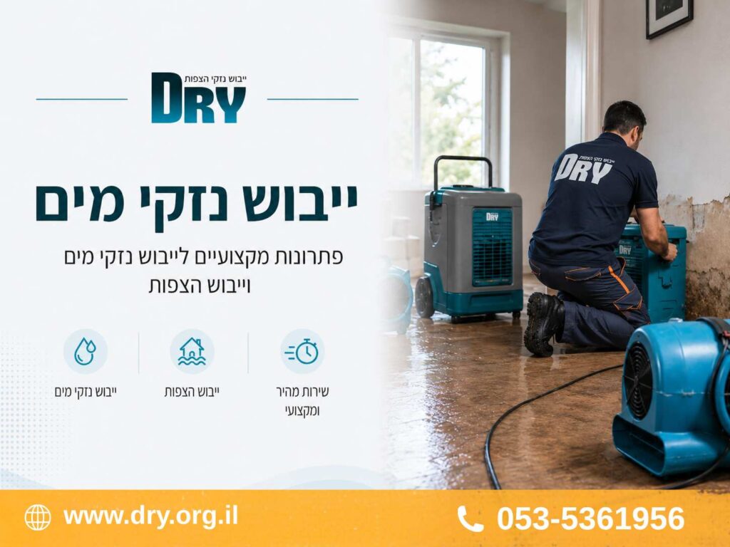 ייבוש נזקי מים