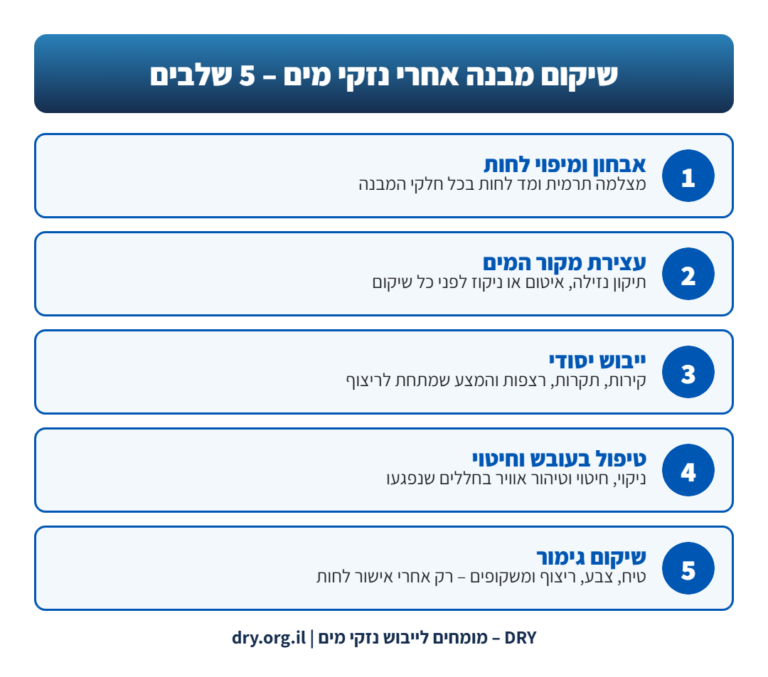 אינפוגרפיקה: 5 שלבים בשיקום מבנה אחרי נזקי מים – אבחון לחות, עצירת מקור המים, ייבוש, טיפול בעובש ושיקום גימור