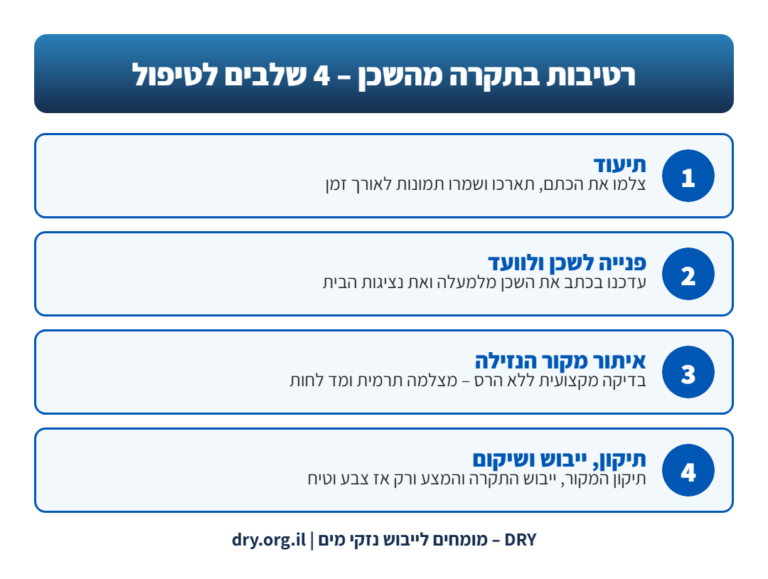 אינפוגרפיקה: 4 שלבים לטיפול ברטיבות בתקרה מהשכן – תיעוד, פנייה לשכן, איתור הנזילה, תיקון וייבוש